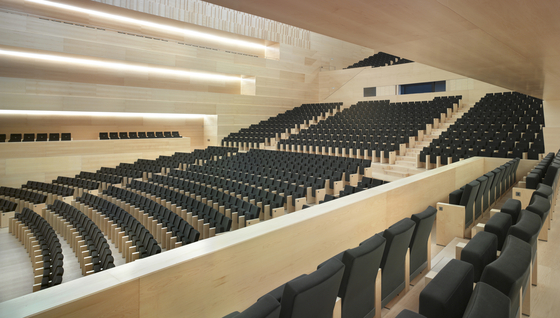 Flex 6036 | Auditorium seating | FIGUERAS SEATING