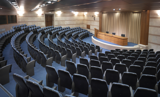 Lyon 13108 | Auditorium seating | FIGUERAS SEATING