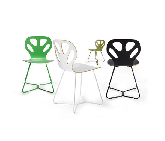 Maple | Stühle | IKER