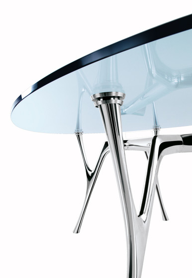 Pegaso Solid | Dining tables | Caimi Brevetti
