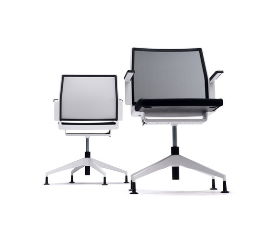 Dis | Office chairs | Dynamobel