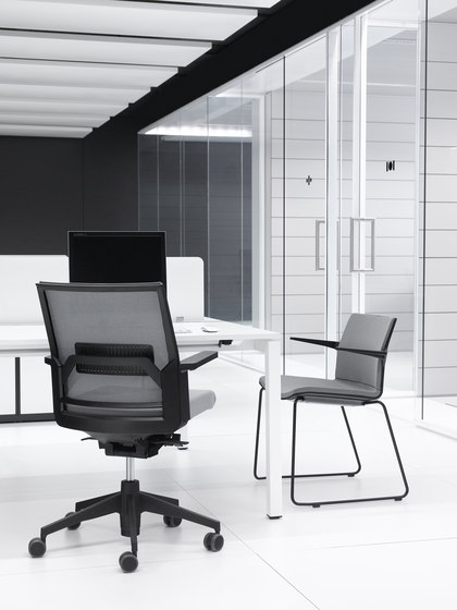Trazo work chair | Bürodrehstühle | Dynamobel