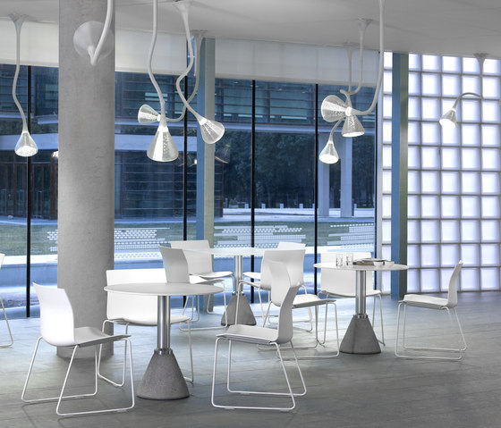 Trazo | Chairs | Dynamobel