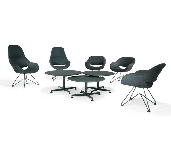 8210/3 Volpe | Armchairs | Kusch+Co