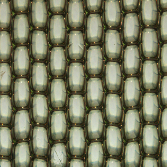 Cast Polymer Panel AO/G | Paneles compuestos | Panelite