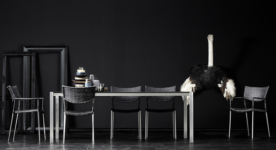 Savona Dining Chair | Chairs | Cane-line