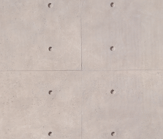 Rusty Concrete Panel | Synthetic panels | TOTAL Panel System