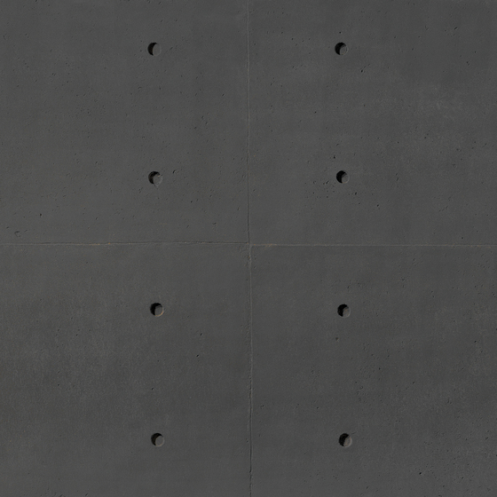 Rusty Concrete Panel | Synthetic panels | TOTAL Panel System