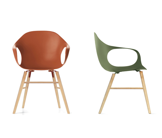 Elephant wood | Chairs | Kristalia