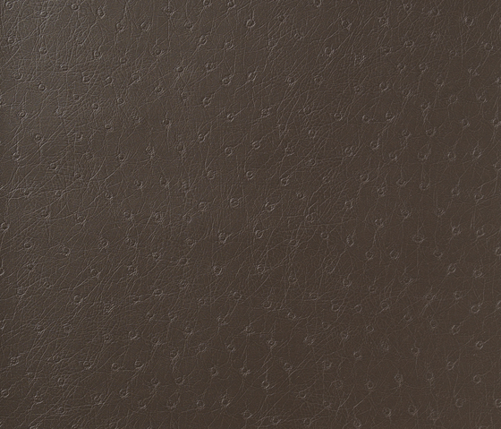 Abruka 7007.08 | Upholstery fabrics | VESCOM
