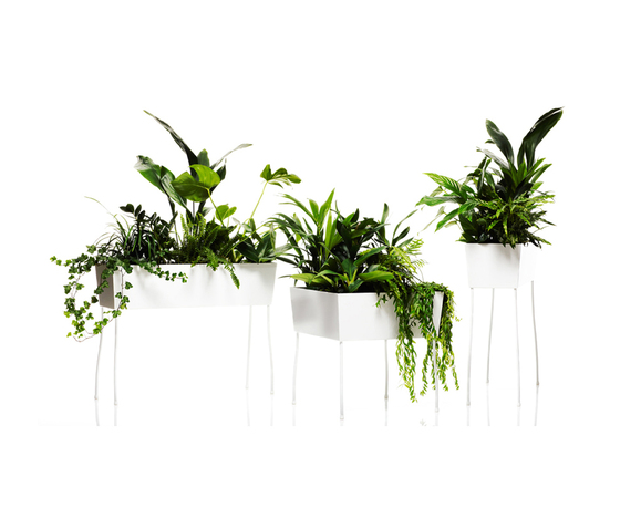 Green Pedestals | Plant pots | OFFECCT