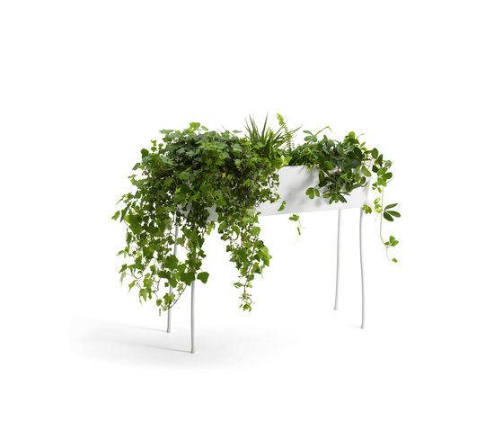 Green Pedestals | Pots de fleurs | OFFECCT