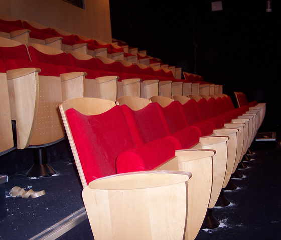 Dijon | Auditorium seating | Ascender