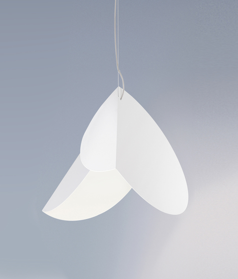 Chords | Suspended lights | Pallucco