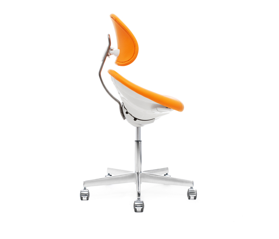 Saga Office | Chaises de bureau | Support Design