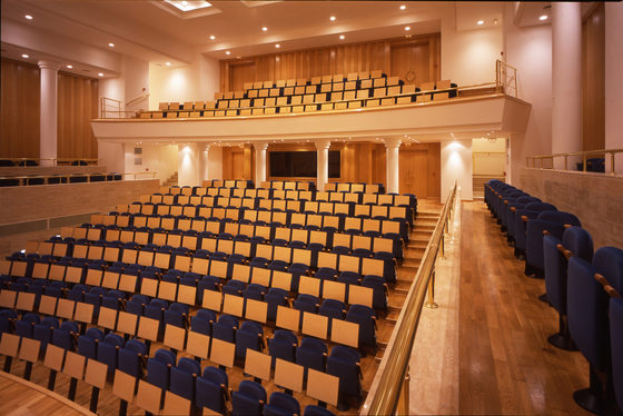 Minispace 5071 | Auditorium seating | FIGUERAS SEATING