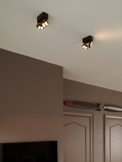Mini-Pi 2 in | Ceiling lights | Trizo21