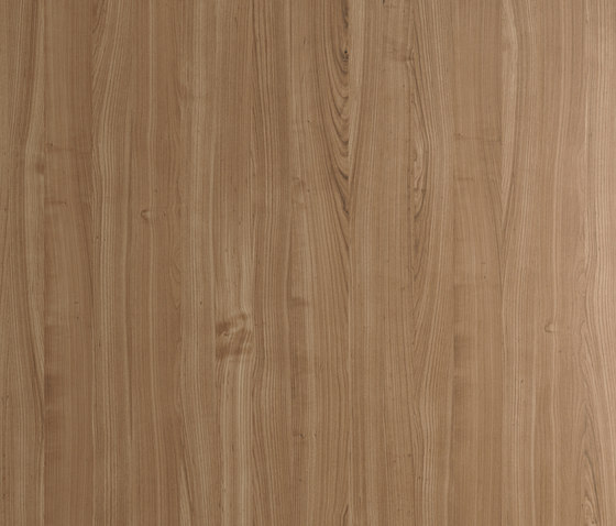 Brand desk modesty wood | Desks | M2L