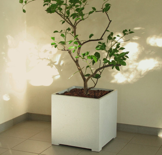 Plant bed |  | OGGI Beton