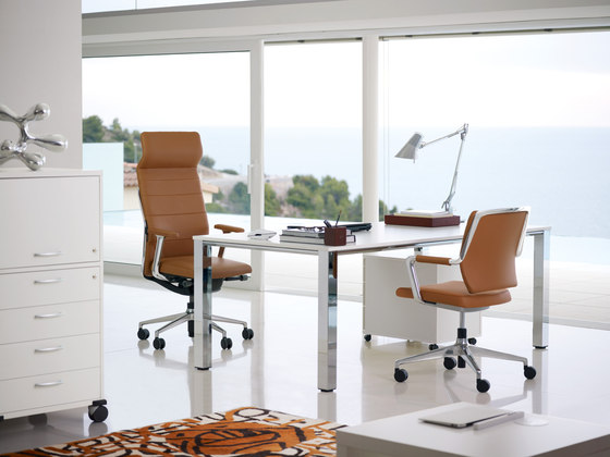 crossline prime | Office chairs | Sedus Stoll