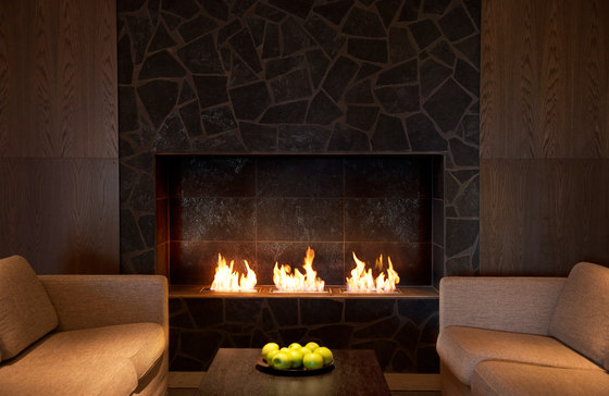 Ethanol Burner CI | Open fireplaces | Vauni Fire