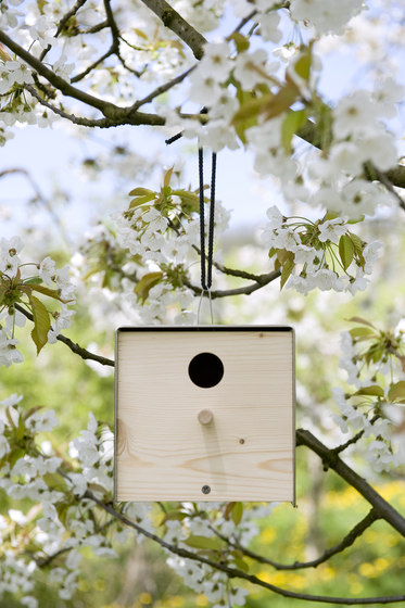 Twitter.Yellow Nesting Box | Nidi uccelli | keilbach