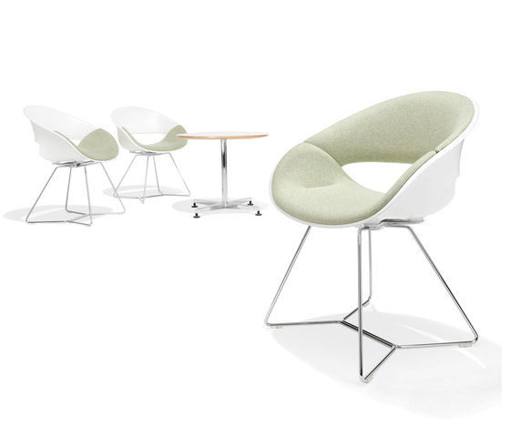 8250/3 Volpino | Chairs | Kusch+Co