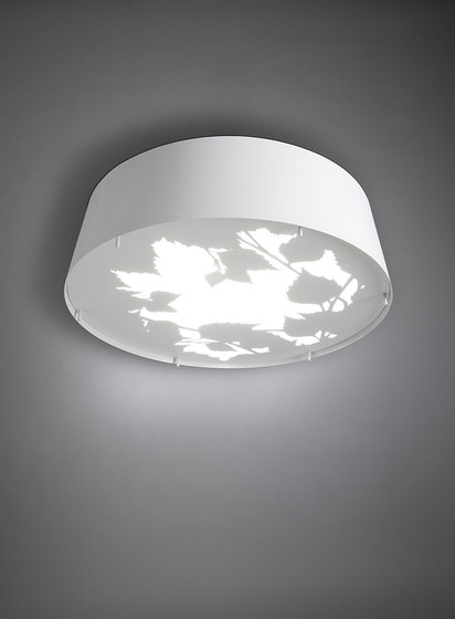 Glänta Mini ceiling | Ceiling lights | Blond Belysning