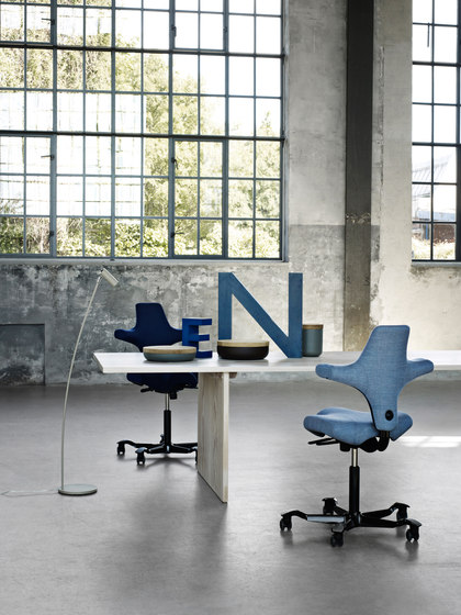 HÅG Capisco 8126 | Office chairs | Flokk