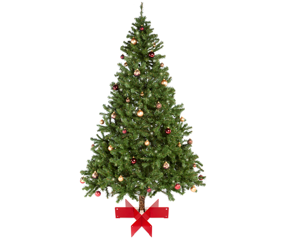 Halleluja Christmas tree stand | Decorazioni natalizie | keilbach
