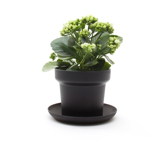 GREEN Plant Pot | Maceteros | Authentics