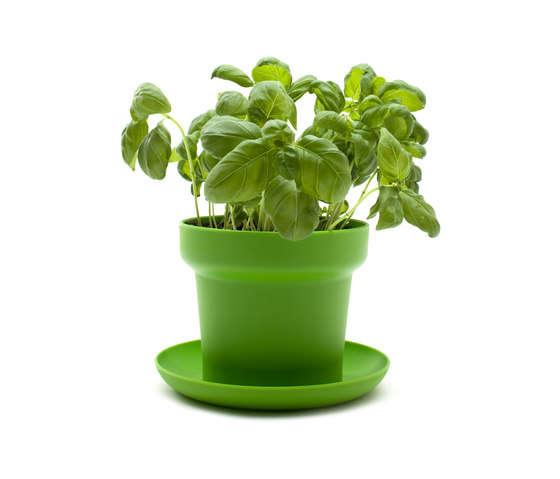 GREEN Plant Pot | Vasi piante | Authentics