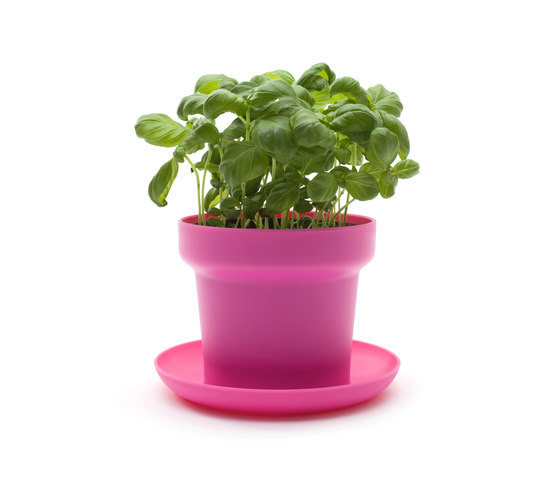 GREEN Plant Pot | Plant pots | Authentics