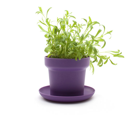 GREEN Plant Pot | Pots de fleurs | Authentics