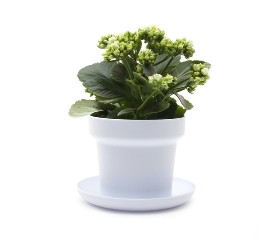 GREEN Plant Pot | Vasi piante | Authentics