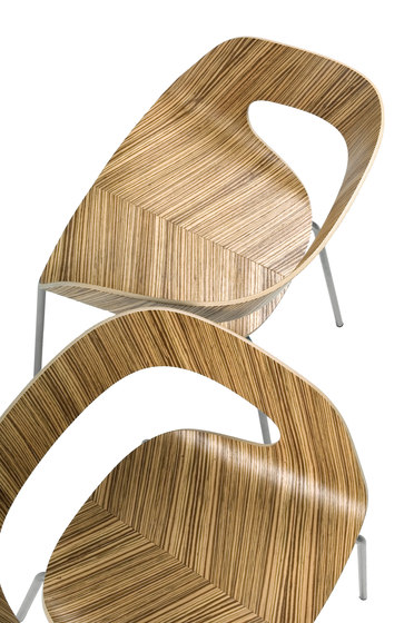 Chat 4-leg chair | Chaises | Plycollection