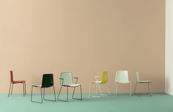 Tweet 893F/2 | Chairs | PEDRALI