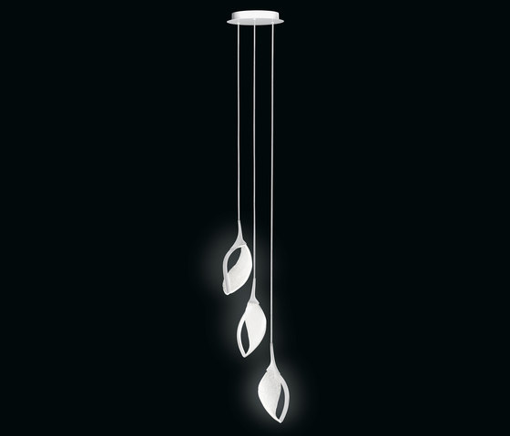 Nia 6S | Lámparas de suspensión | LEUCOS USA