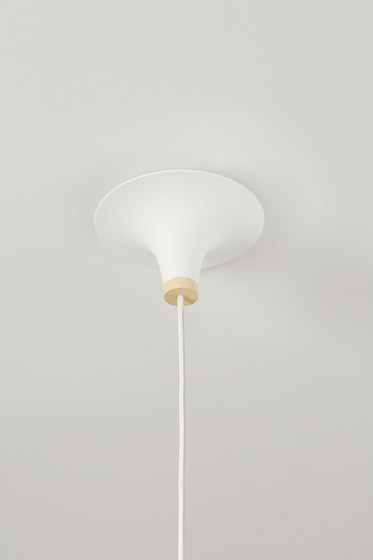 Acorn | Lámparas de suspensión | Northern