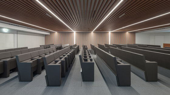 L213 with standard side | Auditorium seating | Lamm