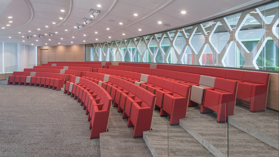 L213 with standard side | Auditorium seating | Lamm