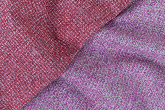 Aschau purple | Tejidos tapicerías | Steiner1888