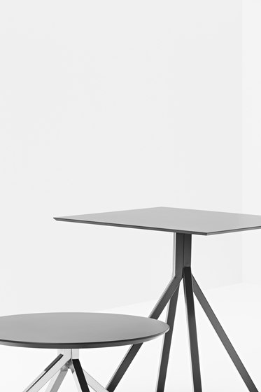 Grapevine 800 base | Tischgestelle | Billiani
