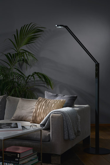 FLOOR RADIAL black | Free-standing lights | LUCTRA