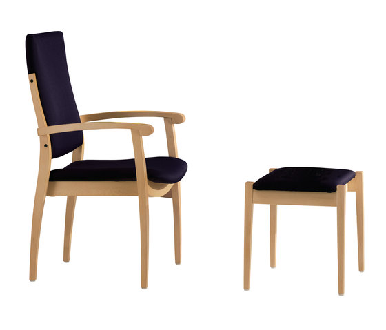 AFTERNOON | Chairs | BRUNE