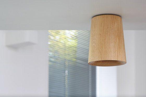 Solid | Downlight Cone in Black Stained Oak | Ceiling lights | Terence Woodgate
