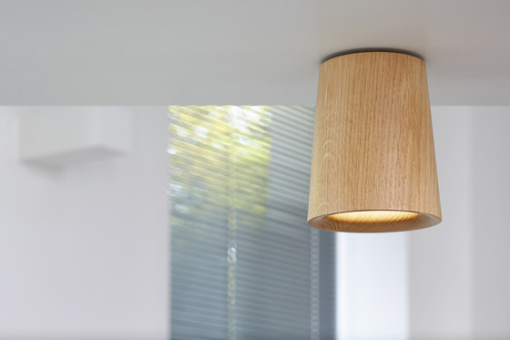 Solid | Downlight Cone in Black Stained Oak | Lampade plafoniere | Terence Woodgate