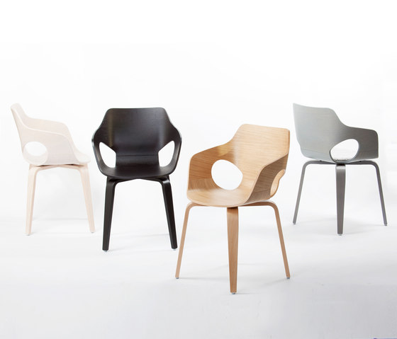Curved Oak Chair | Stühle | dutchglobe