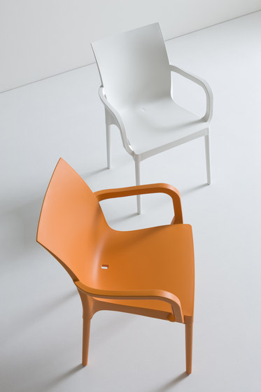Iris | Chairs | Gaber