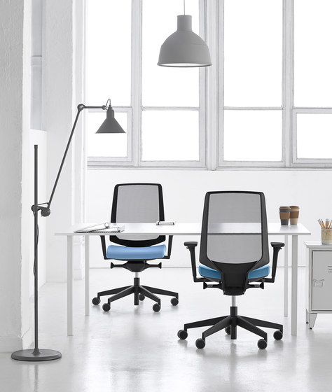 LightUp 250SFL | Office chairs | PROFIM
